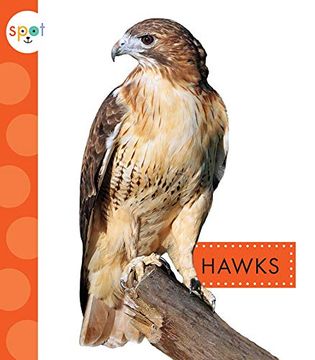 portada Hawks (Spot Backyard Animals) (en Inglés)