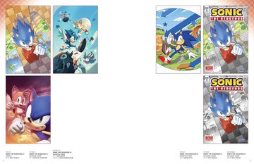 Sonic the Hedgehog: The IDW Comic Art Collection (en Inglés)