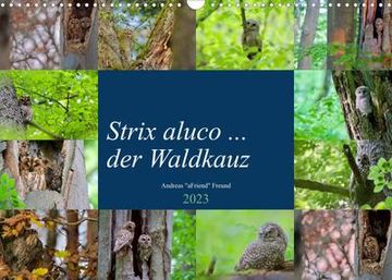 portada Strix Aluco. Der Waldkauz (Wandkalender 2023 din a3 Quer) (en Alemán)