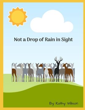 portada Not A Drop of Rain in Sight (en Inglés)