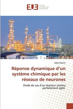 portada Réponse dynamique d'un système chimique par les réseaux de neurones (en Francés)