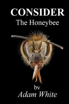 portada Consider The Honeybee (en Inglés)