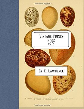 portada Vintage Prints: Eggs: Vol. 3 