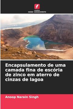 portada Encapsulamento de uma Camada Fina de Escória de Zinco em Aterro de Cinzas de Lagoa (en Portugués)