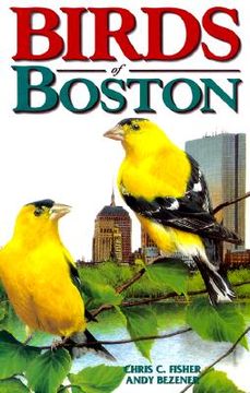 portada birds of boston (en Inglés)