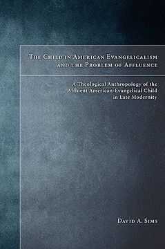portada the child in american evangelicalism and the problem of affluence: a theological anthropology of the affluent american-evangelical child in late moder (en Inglés)