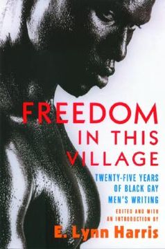 portada Freedom in this Village: Twenty-Five Years of Black Gay Men's Writing (en Inglés)