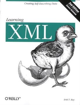portada Learning xml (in English)