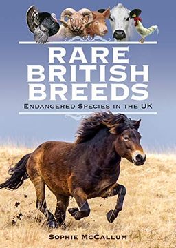 portada Rare British Breeds: Endangered Species in the uk (en Inglés)