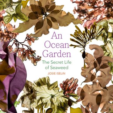 portada An Ocean Garden: The Secret Life of Seaweed (in English)