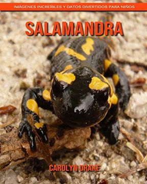 portada Salamandra: Imágenes Increíbles y Datos Divertidos Para Niños