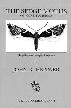 portada sedge moths of north america, the (lepidoptera: glyphipterigidae) (en Inglés)