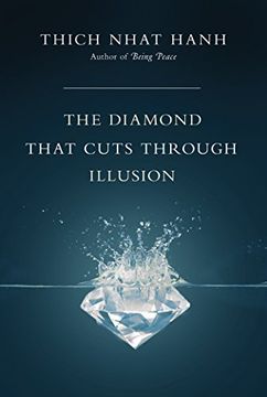 portada The Diamond That Cuts Through Illusion (in English)