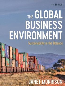portada The Global Business Environment: Sustainability in the Balance (in English)