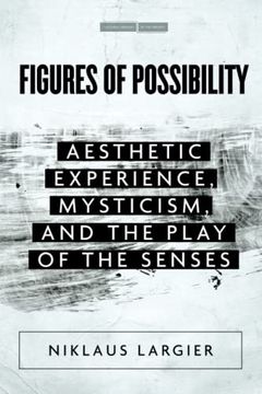 portada Figures of Possibility: Aesthetic Experience, Mysticism, and the Play of the Senses (Cultural Memory in the Present) (en Inglés)