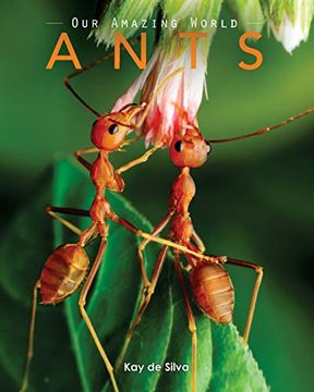 portada Ants: Amazing Pictures & fun Facts on Animals in Nature (Our Amazing World) 