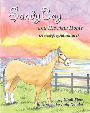 portada SandyBoy and His New Home (A SandyBoy Adventure) (en Inglés)