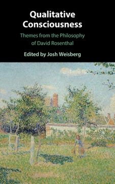 portada Qualitative Consciousness: Themes From the Philosophy of David Rosenthal (en Inglés)