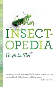 portada Insectopedia (en Inglés)