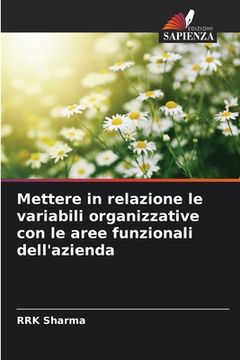 portada Mettere in relazione le variabili organizzative con le aree funzionali dell'azienda (en Italiano)