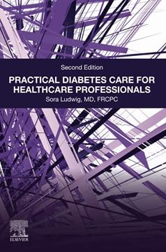 portada Practical Diabetes Care for Healthcare Professionals (en Inglés)