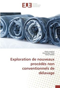 portada Exploration de nouveaux procédés non conventionnels de délavage (OMN.UNIV.EUROP.)