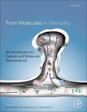portada From Molecules to Networks: An Introduction to Cellular and Molecular Neuroscience