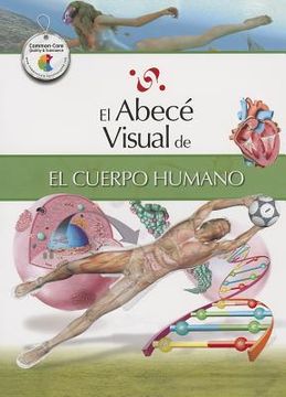 El Abece Visual del Cuerpo Humano = The Illustrated Basics of the Human Body (in Spanish)