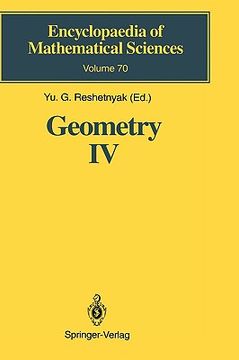 portada geometry iv: non-regular riemannian geometry (en Inglés)