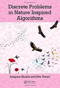 portada Discrete Problems in Nature Inspired Algorithms (en Inglés)