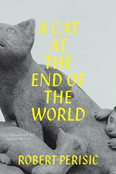 portada A cat at the end of the World (in English)