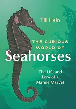 portada The Curious World of Seahorses: The Life and Lore of a Marine Marvel (in English)