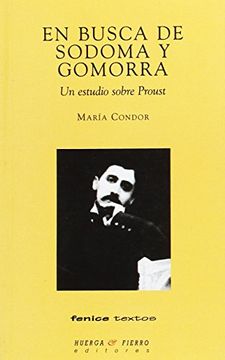 portada En busca de Sodoma y Gomorra: Un estudio sobre Proust (Fenice textos)