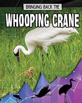 portada Bringing Back the Whooping Crane (Animals Back From the Brink) (en Inglés)