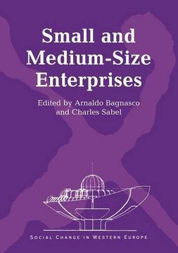 portada Small and Medium-Size Enterprises (Social Change in Western Europe) (en Inglés)