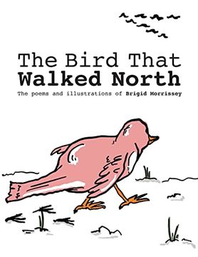 portada The Bird That Walked North 