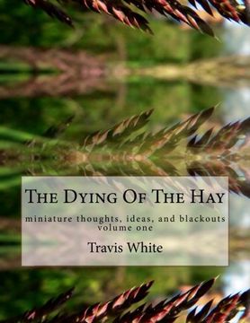 portada The Dying Of The Hay: miniature thoughts, ideas, and blackouts: Volume 1