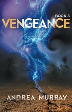 portada Vengence (The Vivid Trilogy) (Volume 3)