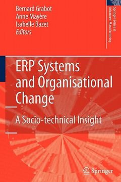 portada erp systems and organisational change: a socio-technical insight (en Inglés)