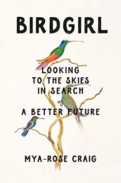 portada Birdgirl: Looking to the Skies in Search of a Better Future (in English)
