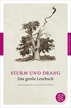 portada Sturm und Drang: Das Große Lesebuch (in German)