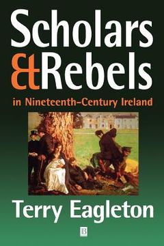 portada scholars and rebels: in nineteenth-century ireland (en Inglés)