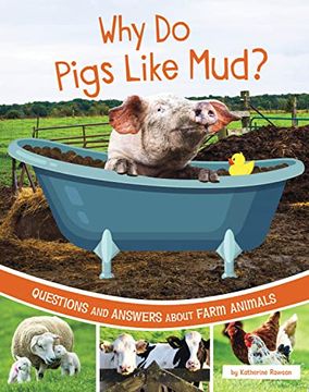 portada Why do Pigs Like Mud? Questions and Answers About Farm Animals (Farm Explorer) (in English)