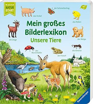 portada Mein Großes Bilderlexikon: Unsere Tiere (Mein Naturstart) (in German)