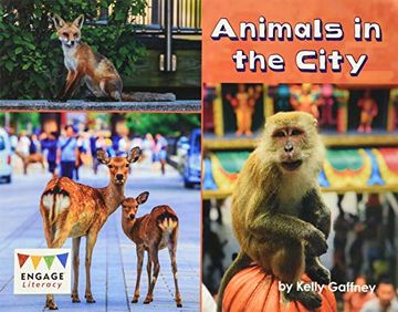 portada Animals in the City (Engage Literacy Turquoise) (en Inglés)