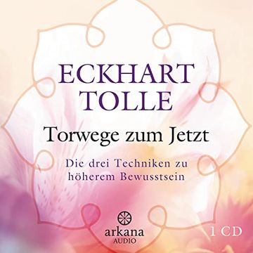 portada Torwege zum Jetzt: Die Drei Techniken zu Höherem Bewusstsein (in German)