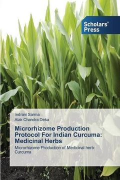 portada Microrhizome Production Protocol For Indian Curcuma: Medicinal Herbs