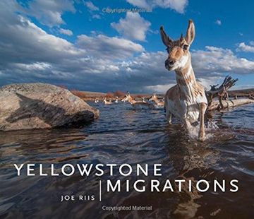 portada Yellowstone Migrations (in English)