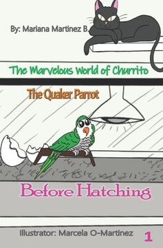 The Marvelous World of Churrito: The Quaker Parrot (en Inglés)