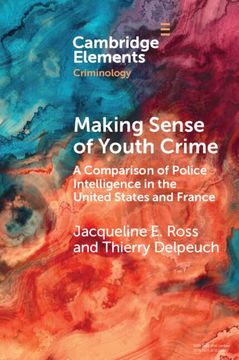 portada Making Sense of Youth Crime: A Comparison of Police Intelligence in the United States and France (Elements in Criminology) (in English)